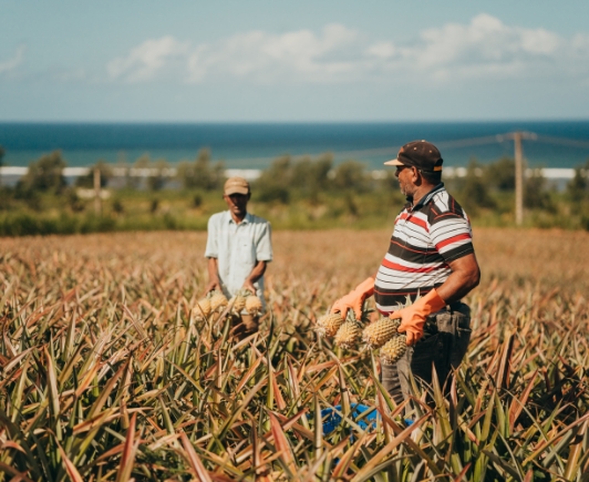 Production agricole durable Agrïa