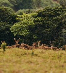 Transformation et distribution Agri Business Agrïa